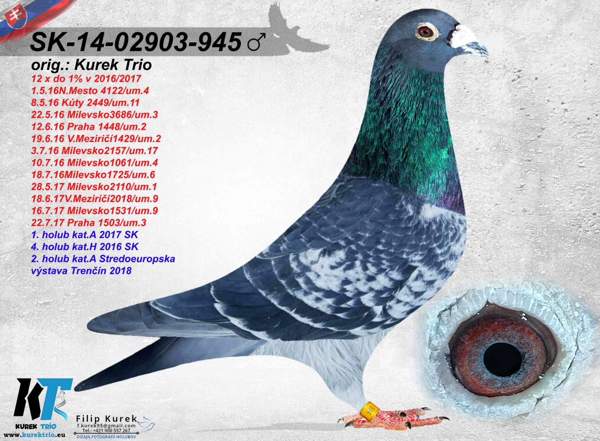  Víťaz kat. A. SK 2017 a 2. miesto EÚ výstava 2018 kat. A.